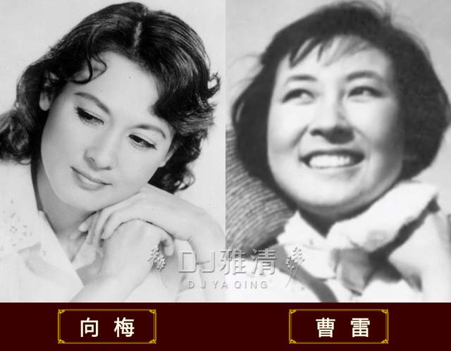 上影厂美女明星名单_老照片中的上影厂女神_美女明星多的电影
